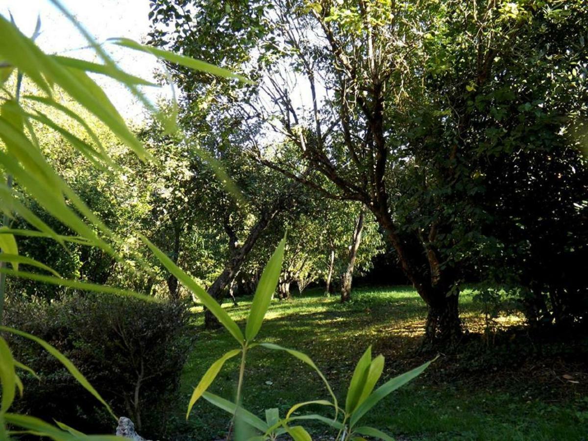 Bed and Breakfast Domaine Pastel Besson Екстер'єр фото